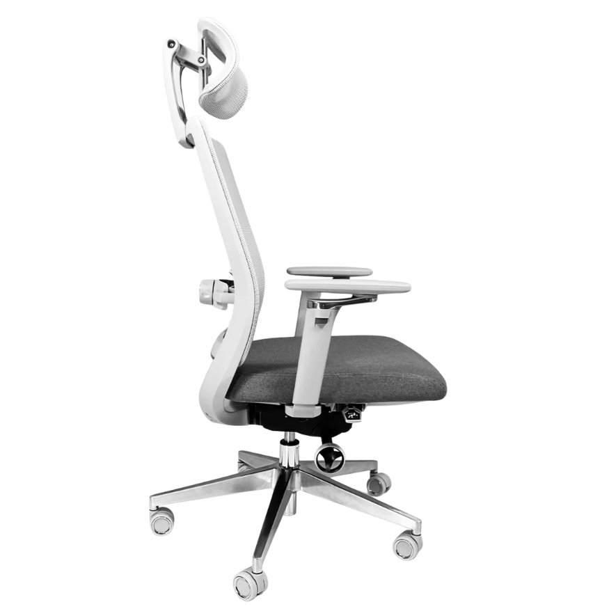 Alfa Gris - Image 3